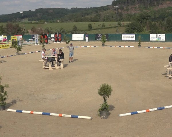 Sichtung zum Horse24-Fohlenchampionat 2023 in Lindlar