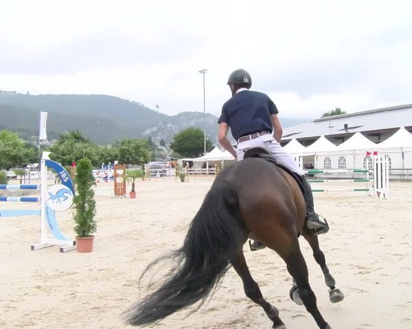 Reitturnier Balsthal 2023