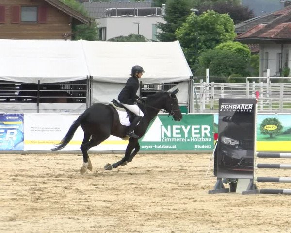 Reitturnier Rankweil 2023
