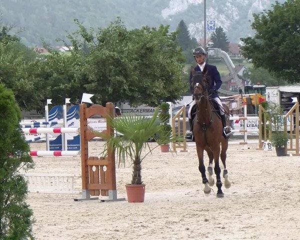 Reitturnier Balsthal 2023