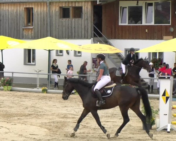 Reitturnier Rankweil 2023