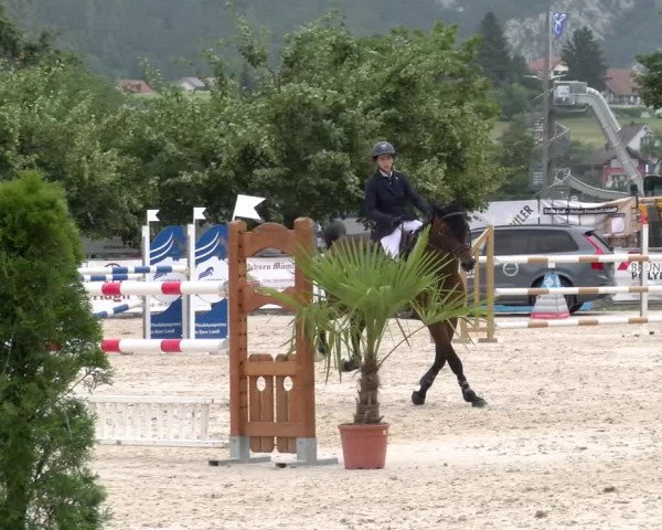 Reitturnier Balsthal 2023