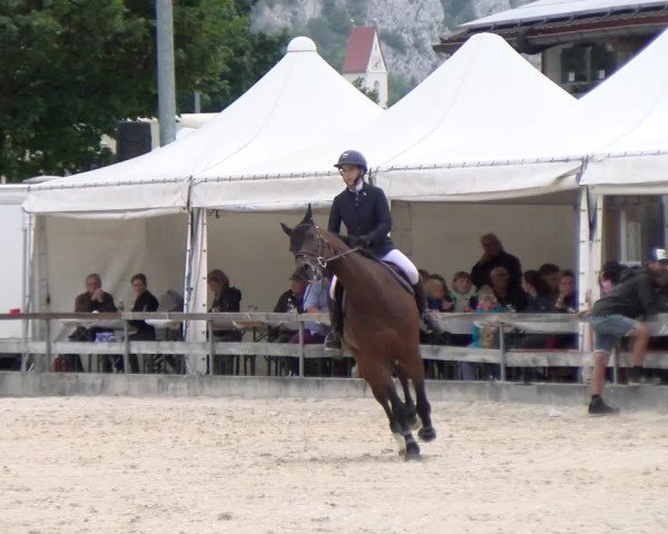 Reitturnier Balsthal 2023