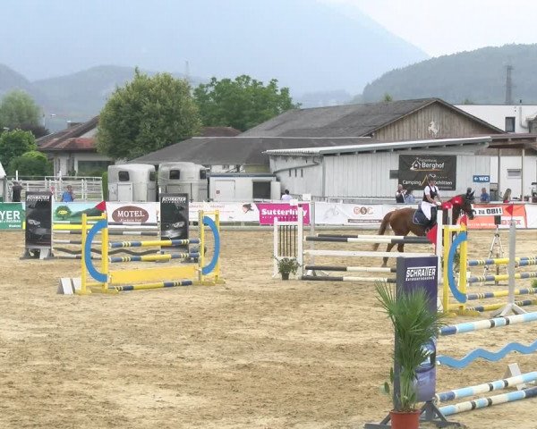 Reitturnier Rankweil 2023