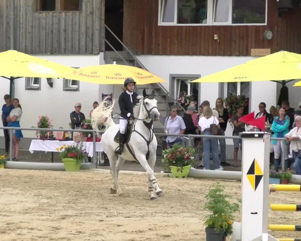 Reitturnier Rankweil 2023