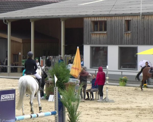 Reitturnier Rankweil 2023