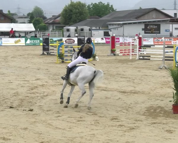 Reitturnier Rankweil 2023