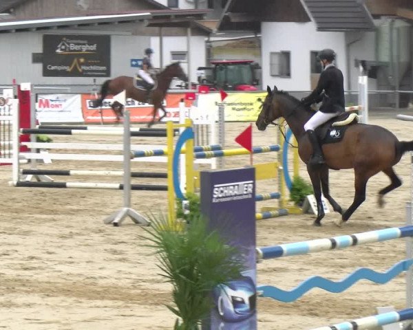 Reitturnier Rankweil 2023