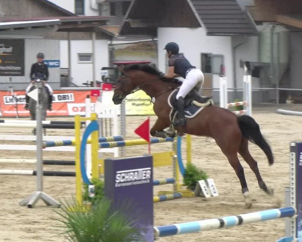 Reitturnier Rankweil 2023