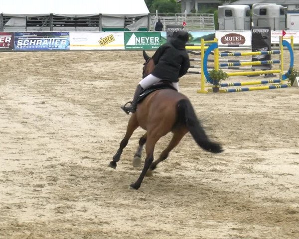 Reitturnier Rankweil 2023