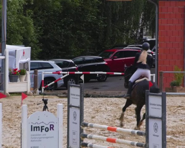 Reitturnier Uder, Reitanlage Kobold 2023