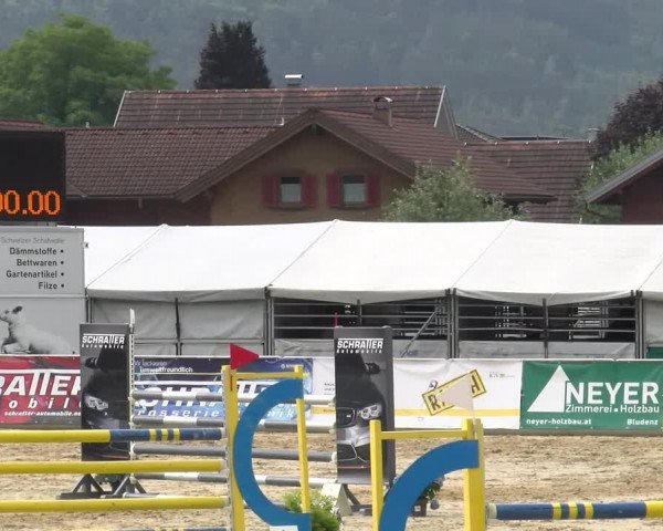 Reitturnier Rankweil 2023