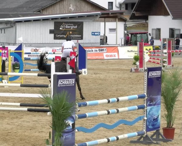 Reitturnier Rankweil 2023
