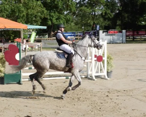Reitturnier Walldorf/Winterheck PSG 2023