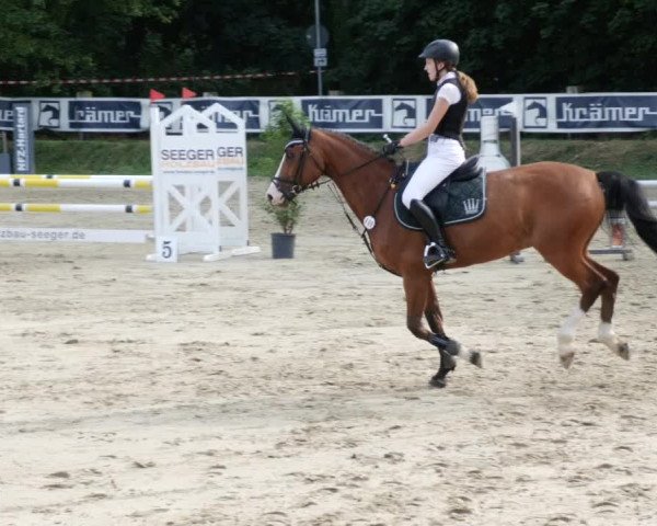 Reitturnier Walldorf/Winterheck PSG 2023