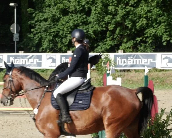 Reitturnier Walldorf/Winterheck PSG 2023