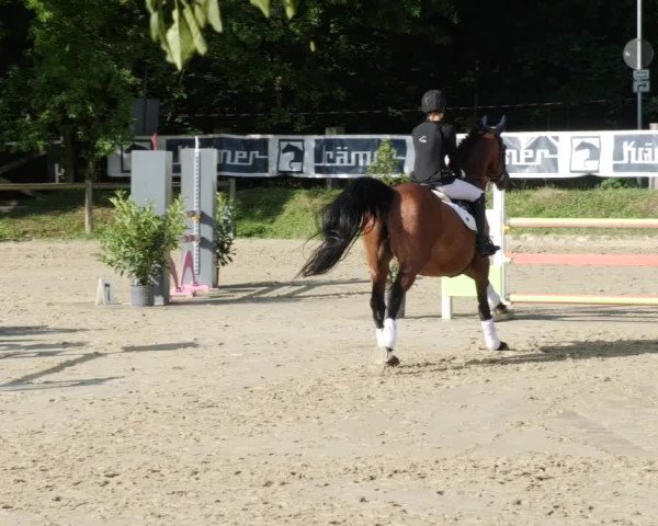 Reitturnier Walldorf/Winterheck PSG 2023