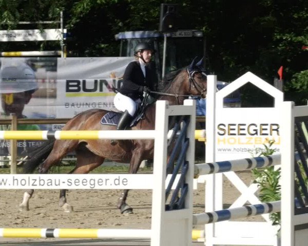 Reitturnier Walldorf/Winterheck PSG 2023