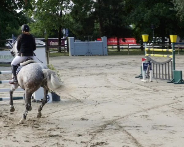 Reitturnier Walldorf/Winterheck PSG 2023