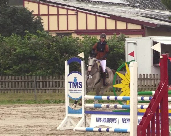 Reitturnier Schülp / Rendsburg 2023