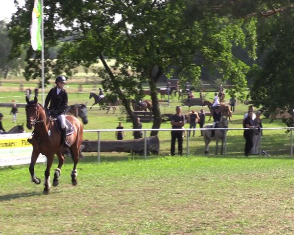Reitturnier Niederwerbig 2023