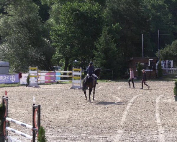 Reitturnier Bad Liebenstein/Sorga 2023