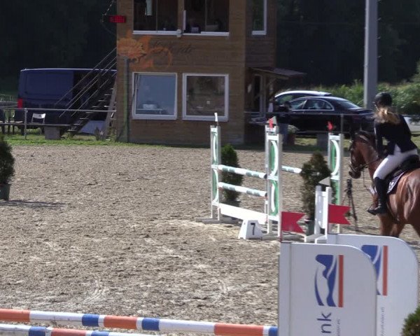 Reitturnier Bad Liebenstein/Sorga 2023