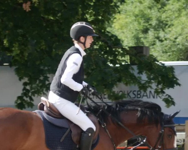 Reitturnier Walldorf/Winterheck PSG 2023