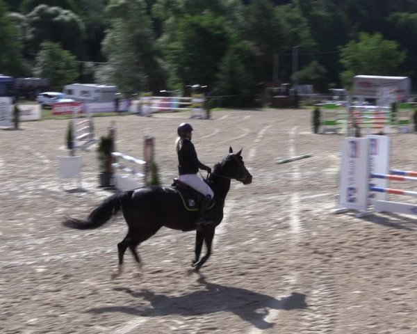 Reitturnier Bad Liebenstein/Sorga 2023