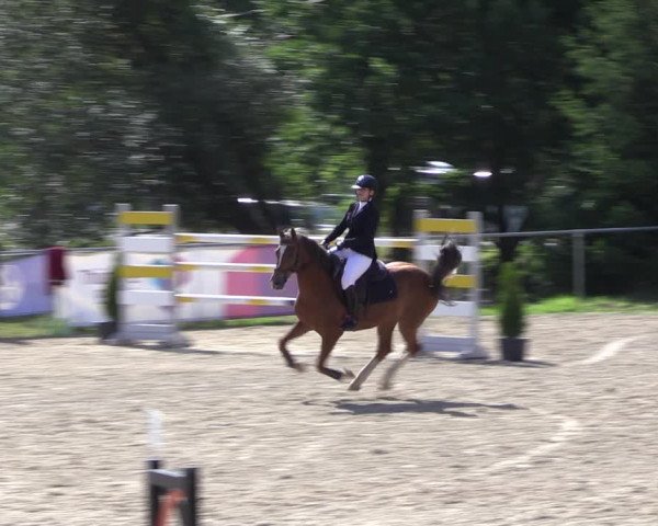 Reitturnier Bad Liebenstein/Sorga 2023