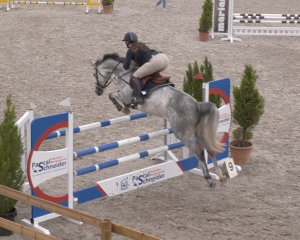 Reitturnier Margarethenhof /Beckingen 2023