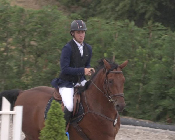 Reitturnier Margarethenhof /Beckingen 2023