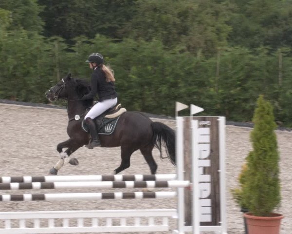 Reitturnier Margarethenhof /Beckingen 2023