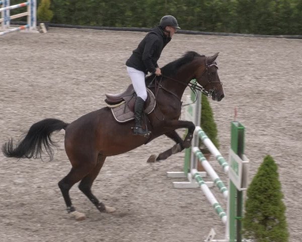 Reitturnier Margarethenhof /Beckingen 2023