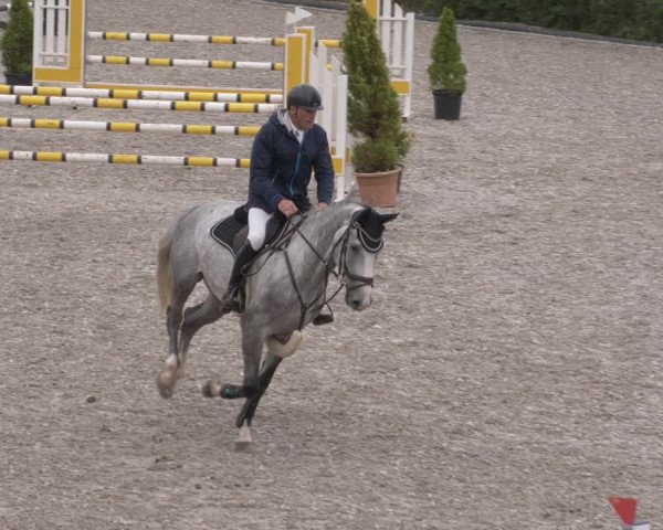 Reitturnier Margarethenhof /Beckingen 2023