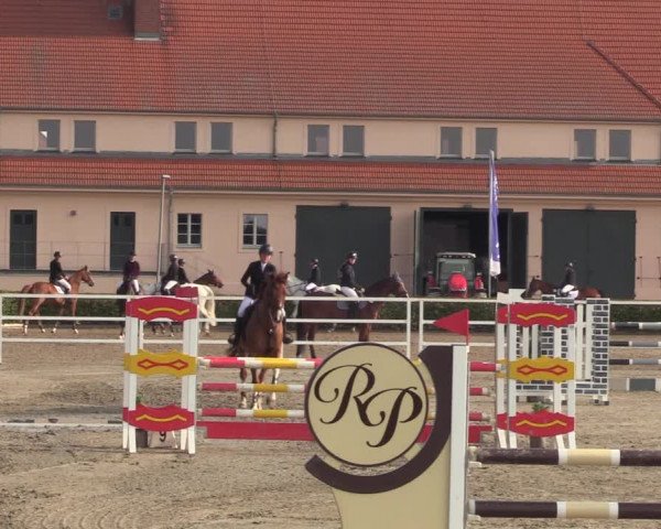 Reitturnier Neustadt/Dosse 2023