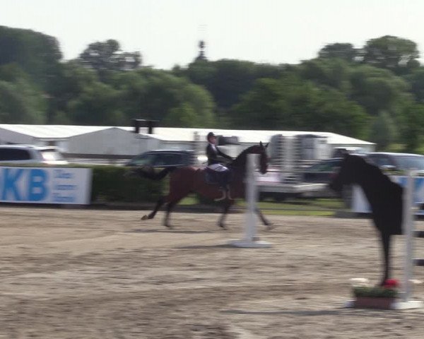Reitturnier Neustadt/Dosse 2023