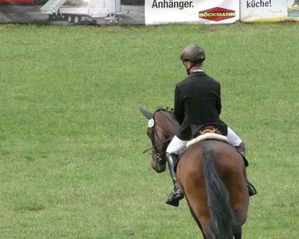 Reitturnier Wolfsburger Klassiker 2023