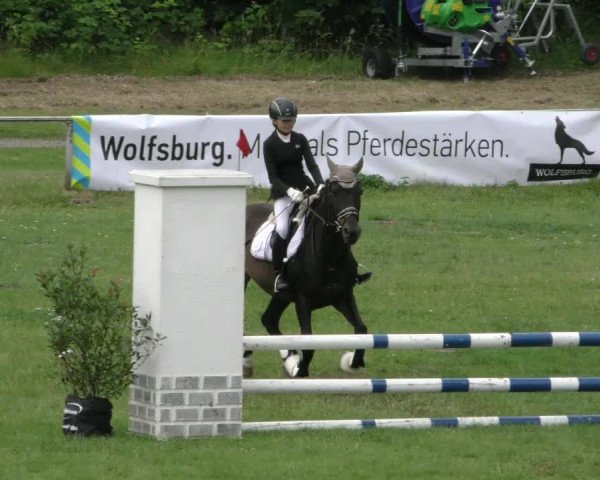 Reitturnier Wolfsburger Klassiker 2023