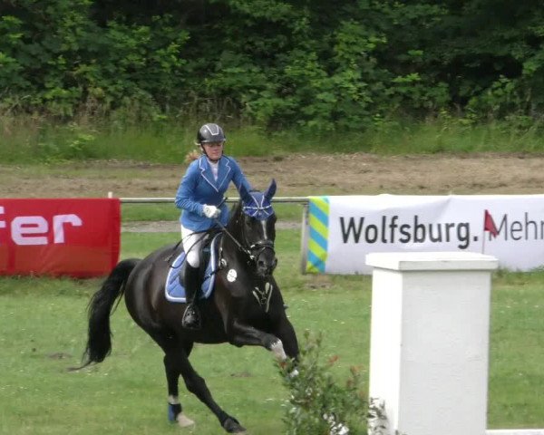 Reitturnier Wolfsburger Klassiker 2023