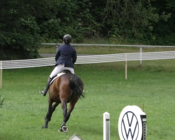 Reitturnier Wolfsburger Klassiker 2023