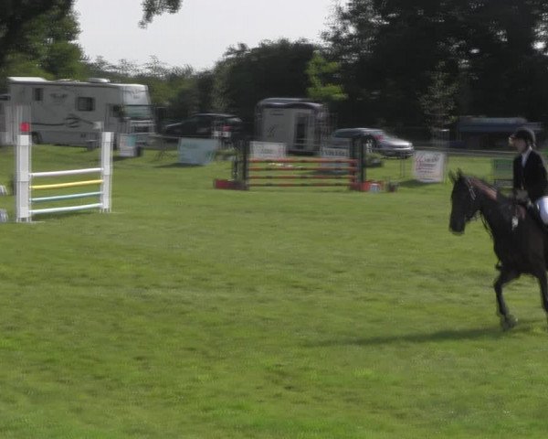 Reitturnier Ihleburg 2023