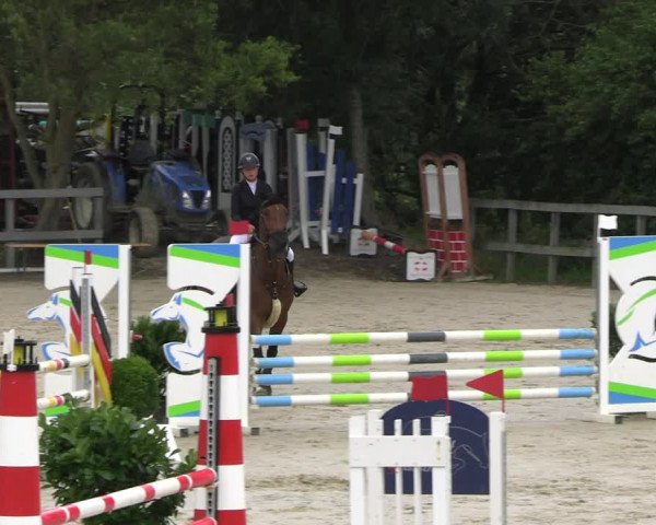 Reitturnier Kalenborn Hegehof 2023