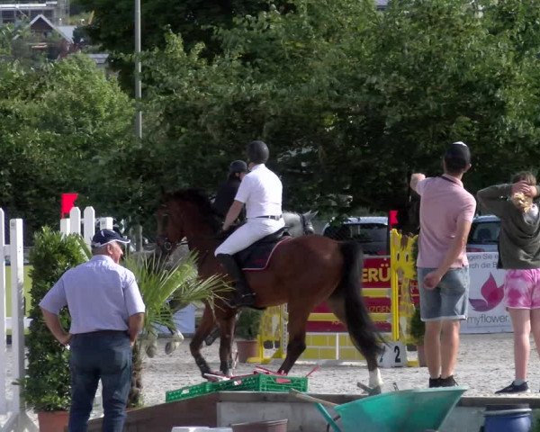 Reitturnier Balsthal 2023