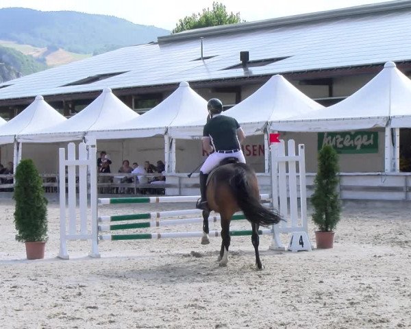 Reitturnier Balsthal 2023