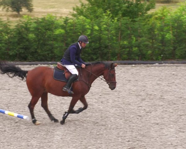 Reitturnier Margarethenhof /Beckingen 2023