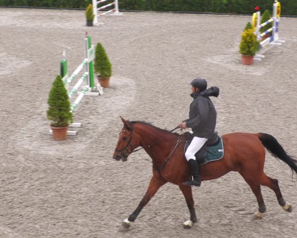 Reitturnier Margarethenhof /Beckingen 2023