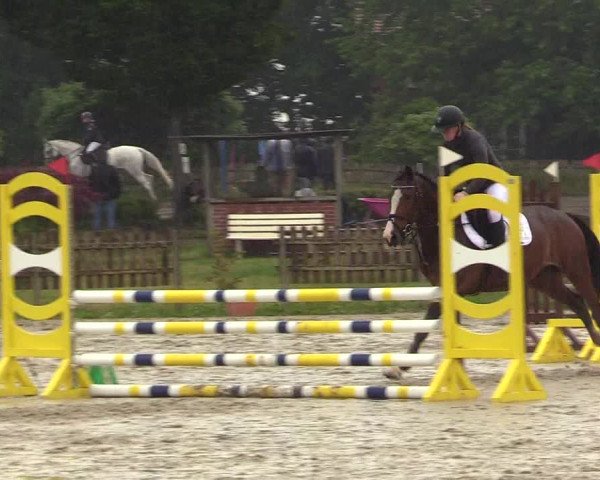 Reitturnier Schülp / Rendsburg 2023