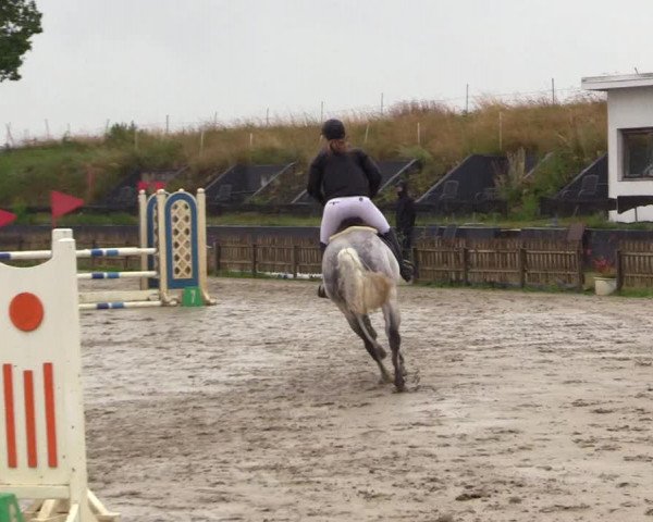 Reitturnier Schülp / Rendsburg 2023