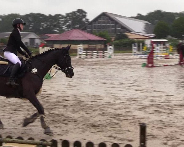 Reitturnier Schülp / Rendsburg 2023